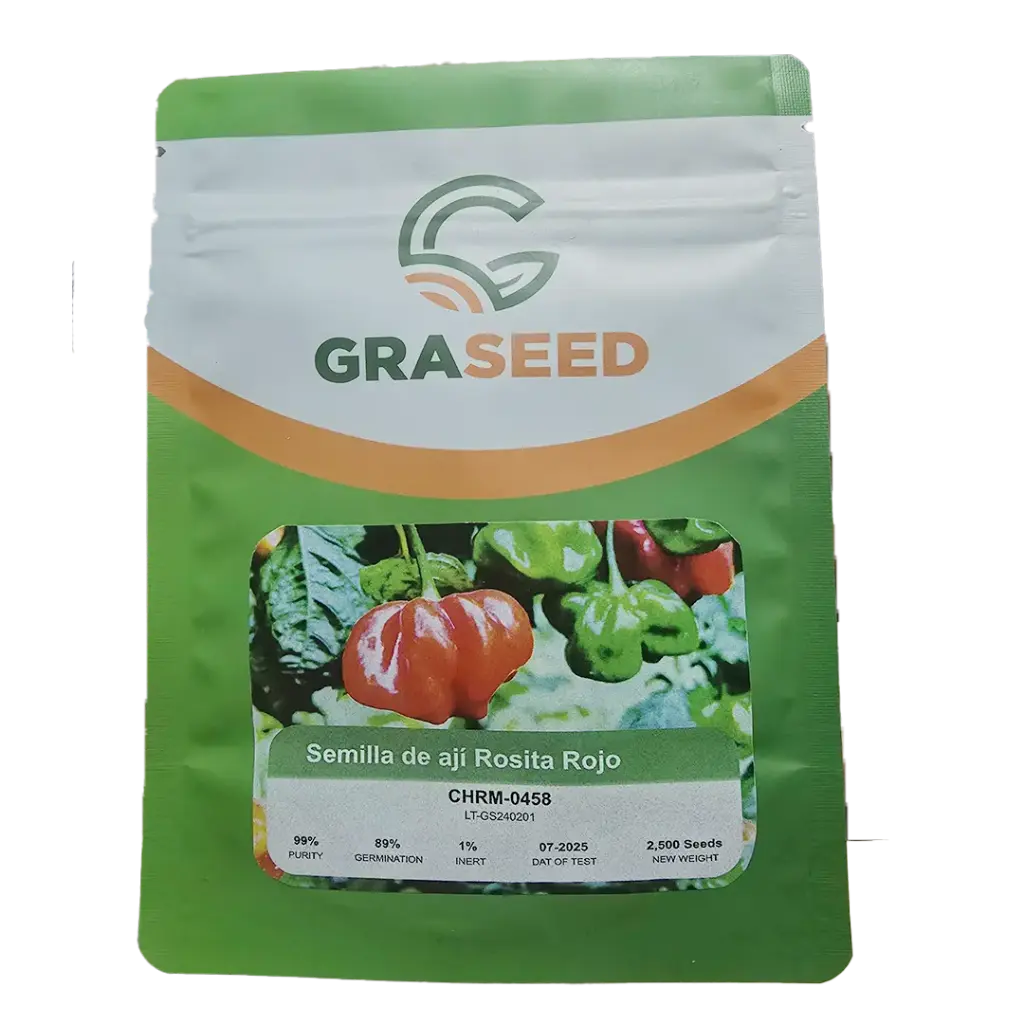 AJI ROSITA 2500SEMILLAS