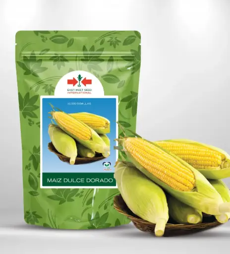Semilla Maiz Super Dulce Dorado F1 1000 semillas