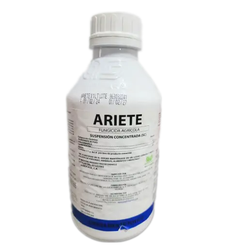 [121] ARIETE 1LTR
